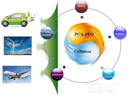 聚合物 從基礎概念到生物技術的前沿應用