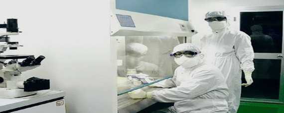 生物安全在生物技術(shù)研究與開發(fā)中的核心內(nèi)容