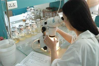 這4大“冷門”專業(yè)，畢業(yè)就遭公司瘋搶！生物技術(shù)研究與開發(fā)異軍突起