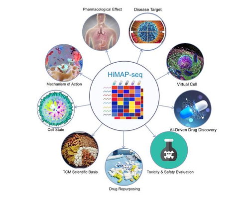 王棟、鄧赟與許俊泉團隊開發HiMAP-seq新技術并構建三億量級藥物基因表達數據庫CIGS，引領生物技術新前沿